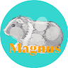 Magnus cilius j