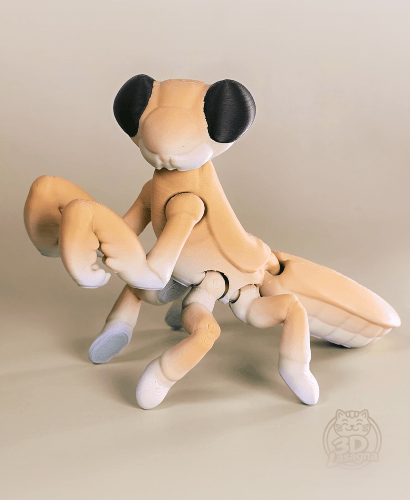 3DL Mantis 3d model