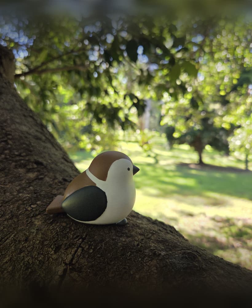 Bird 3d model