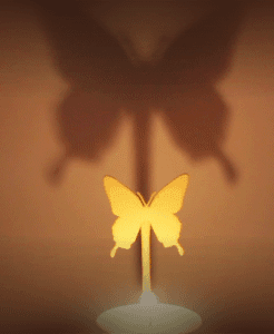 Insect Butterfly 3d model