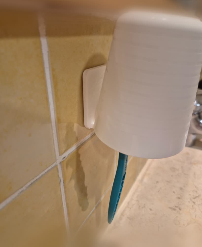 Wall Mounted Bathroom Cup & Toothbrush Holder 3d model