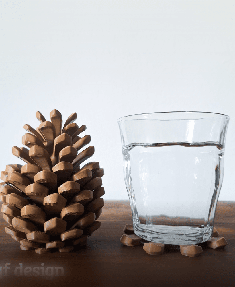 Pine cone Coasters 3d model