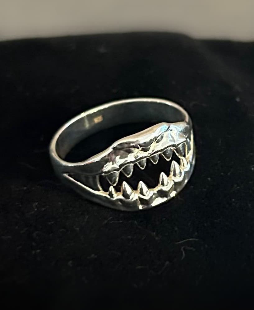 Ring of Mimicry (Size 10.5) 3d model