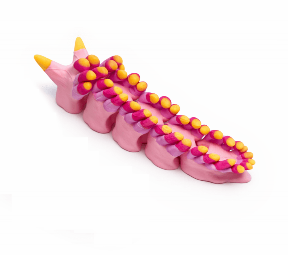 Rainbow Sea Slug 3d model
