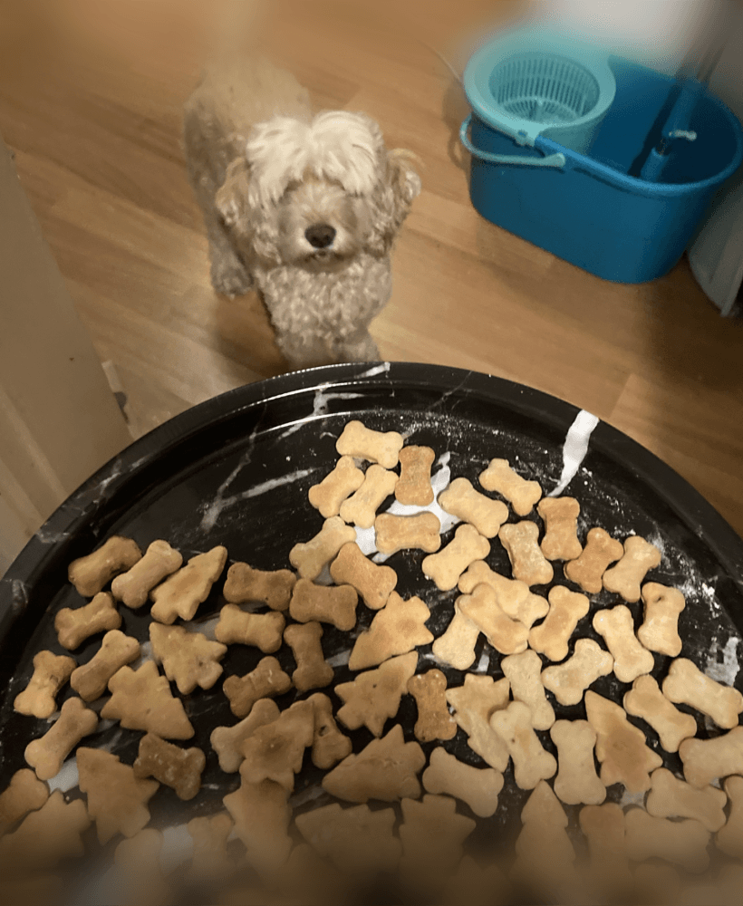 Bone Cookie cutter V1 3d model