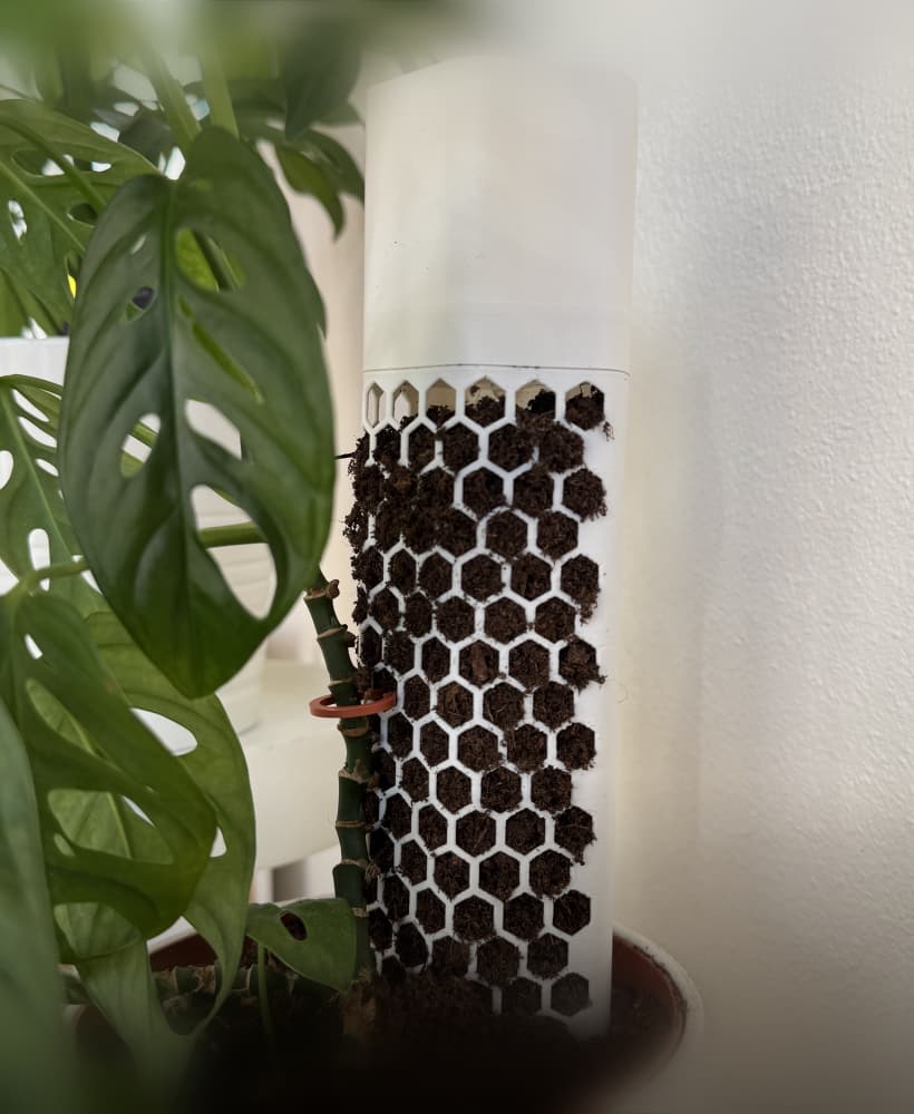 Moss Plant Pole 3d model