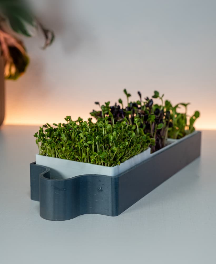 GreensMate | Modular Microgreens Self Watering System 3d model