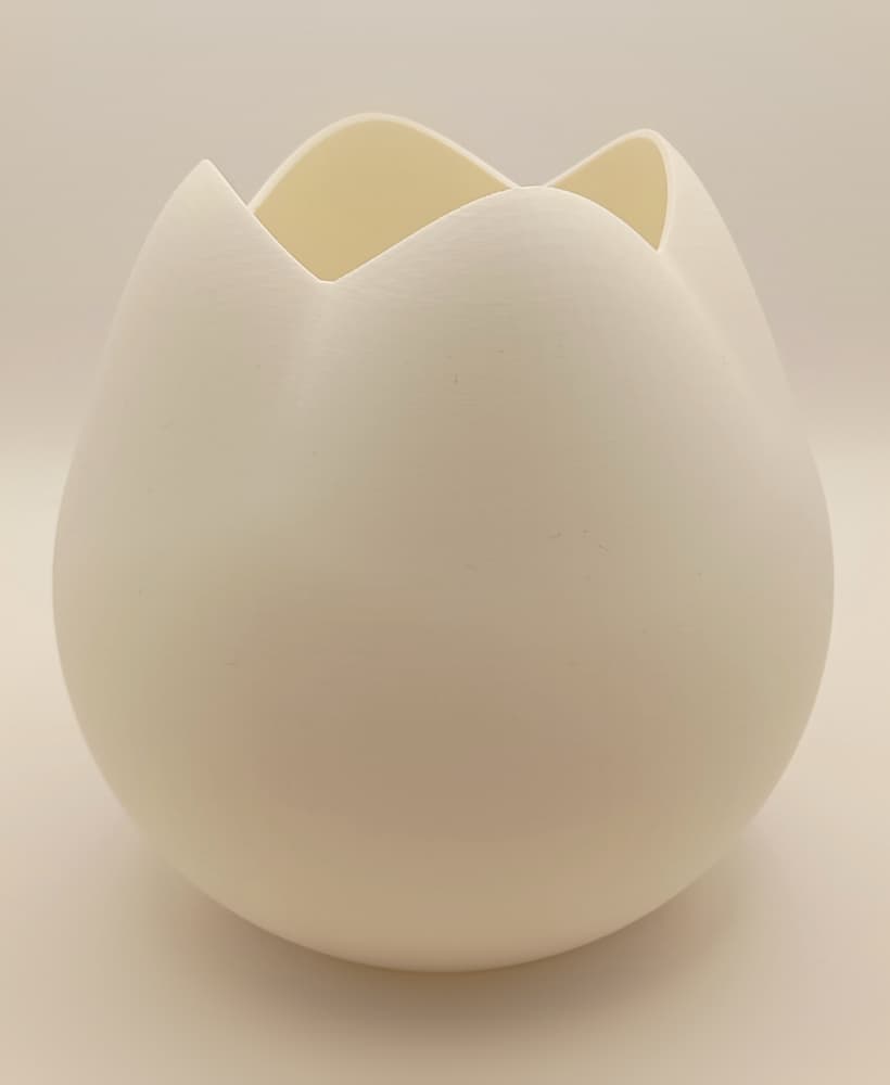 Abat-Jour Tulipe Éclatante 3d model
