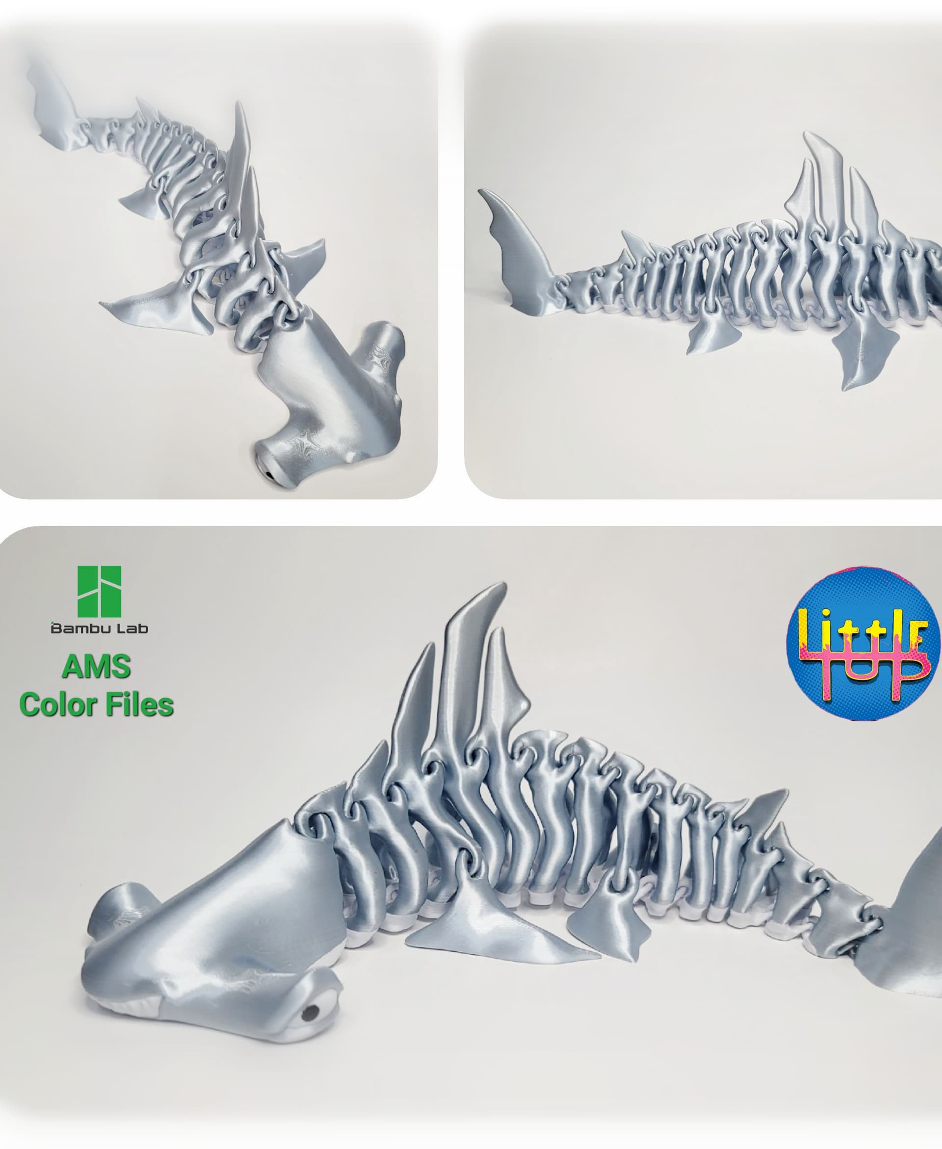 Hammerhead Shark Bones 3d model