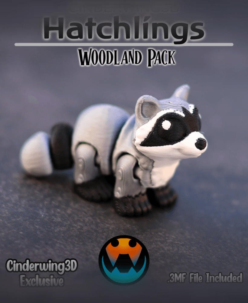 Racoon - Cinder Hatchling 3d model