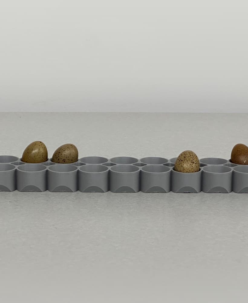 Brinsea Incubator ButtonQuail Egg Tray (25 eggs) 3d model