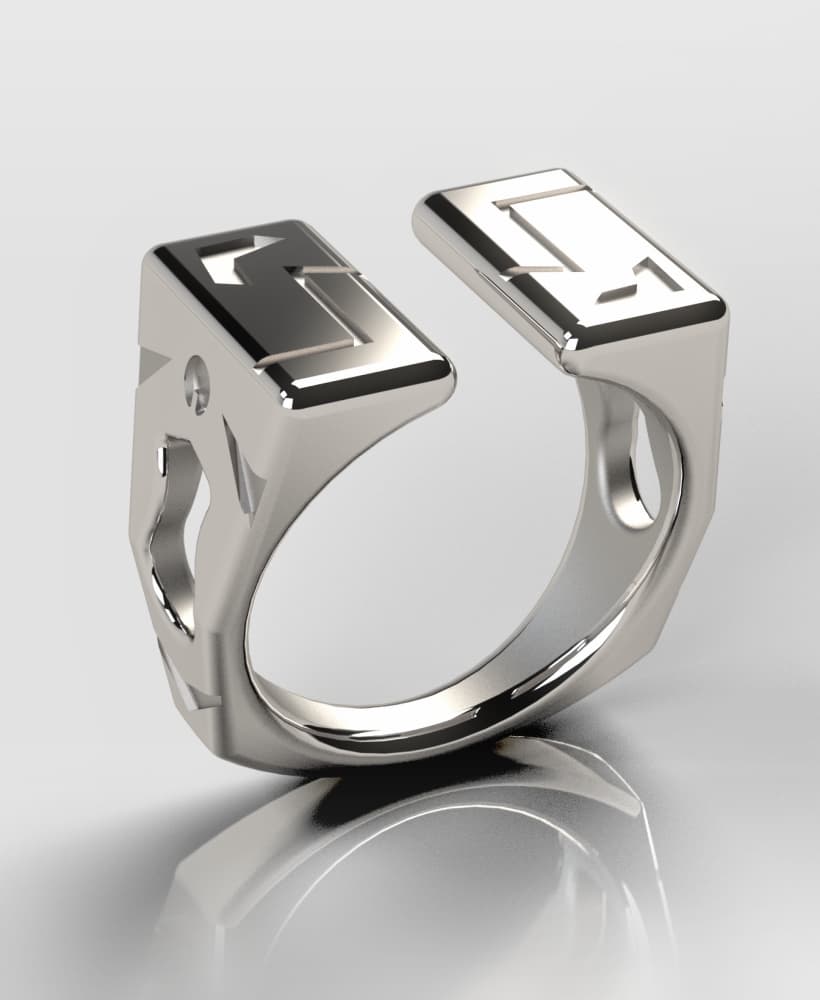 Ring Code 3d model