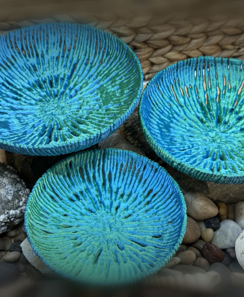 Coral Bowls 3d model