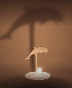 Animal Dolfin 3d model