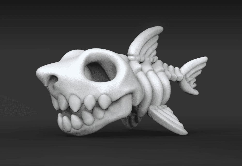 Shark_Skeleton 3d model