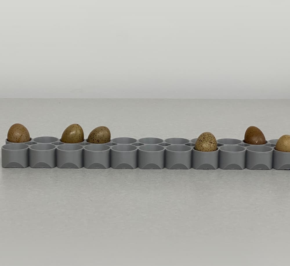 Maticoopx Incubator Parrot or Tiny Button Quail Egg Tray 3d model