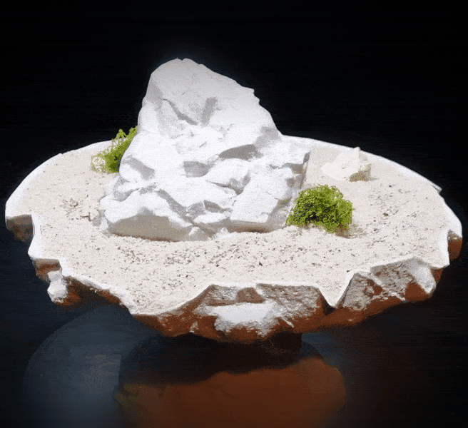 Aquarium & Terrarium Rock type Cave | Fish, Reptile, Lizard, Insect, Spider Refuge Shelter 3d model