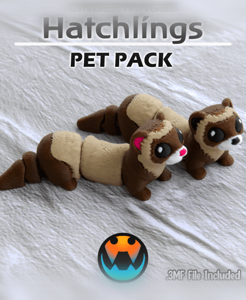 Ferret - Hatchling 3d model