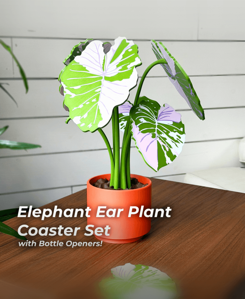 Elephant Ear Plant Coaster and Bottle Opener Set 3d model