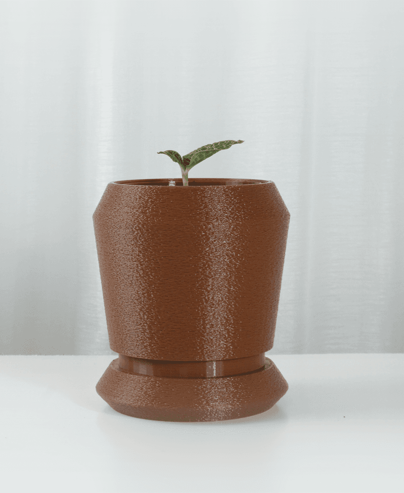 Julienne Planter STL 3D Print File, Home Decor Planter for Plants, Flowers, and Orchid 3d model