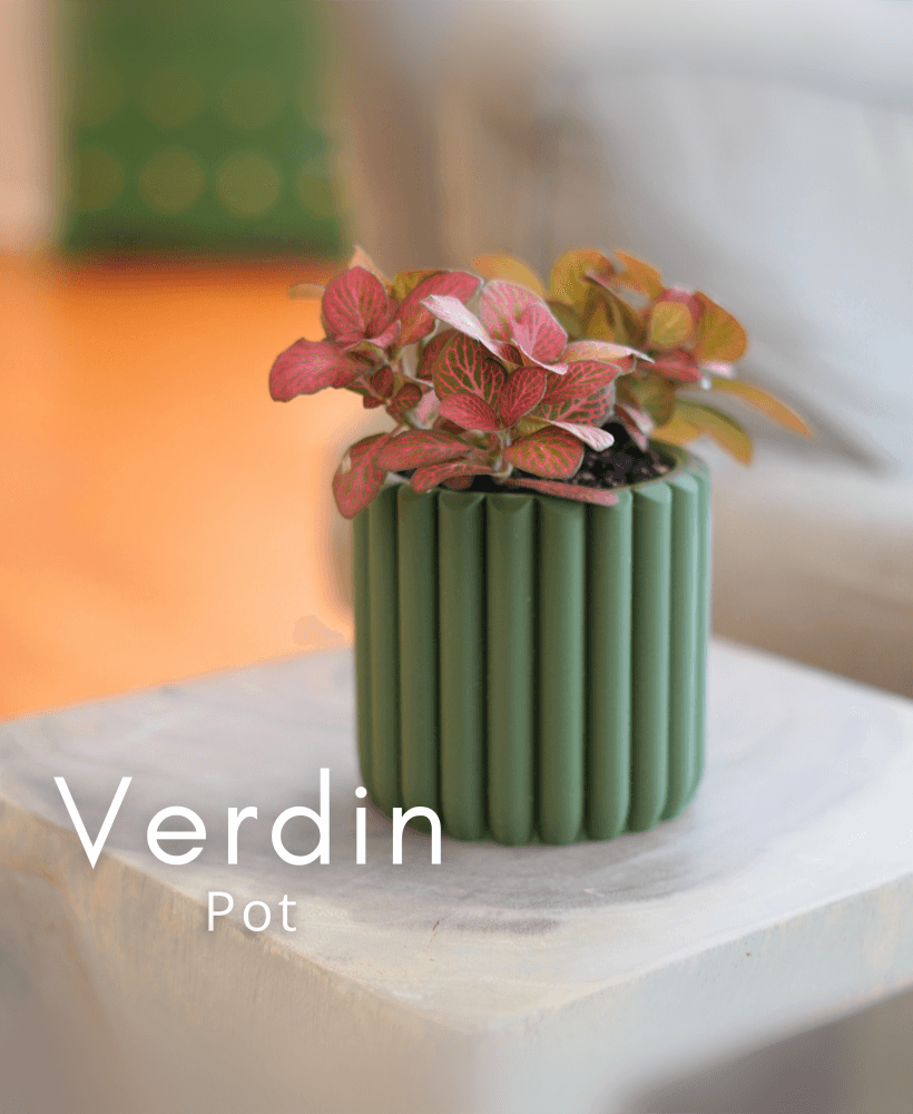 Verdin Pot 3d model