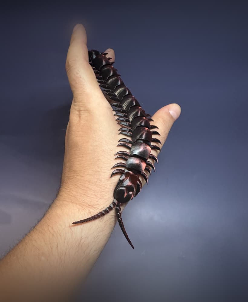 Articulated Centipede – Flexible Creepy Crawly 3d model
