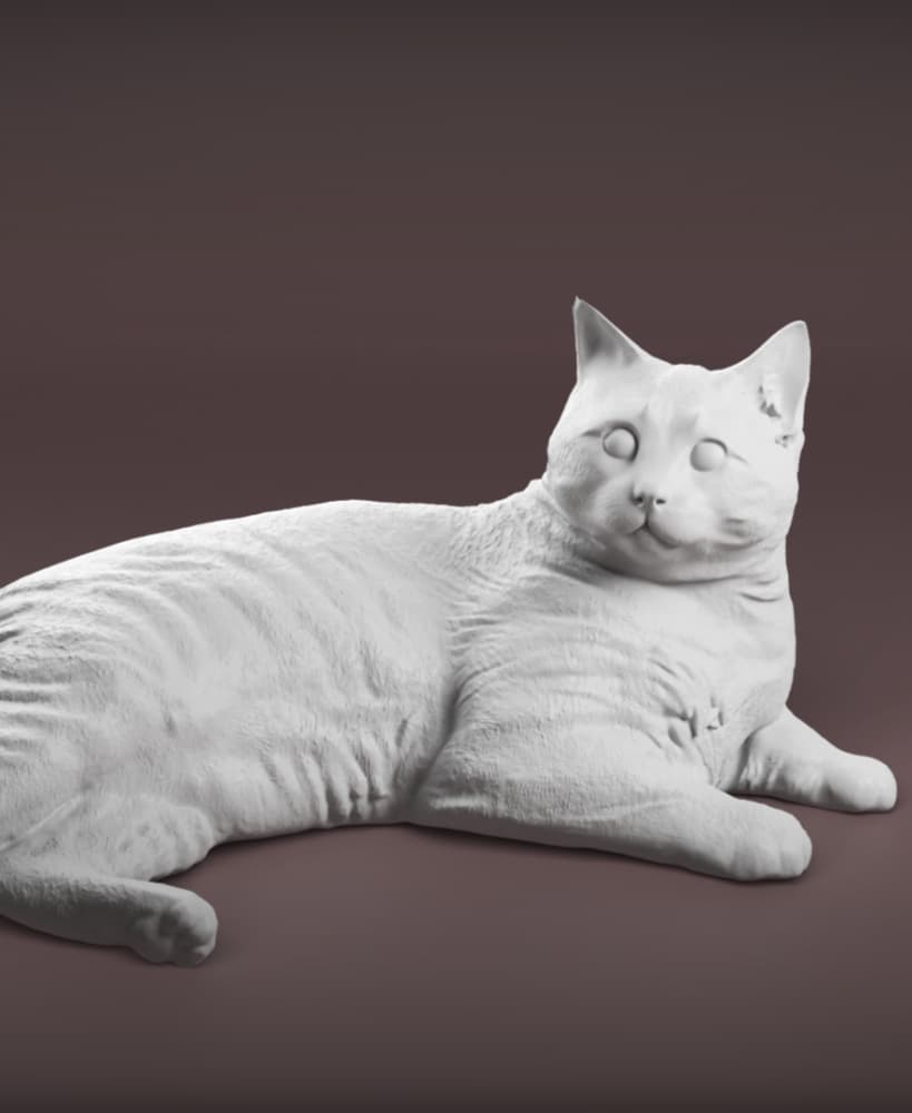 Cat lying down 3d model