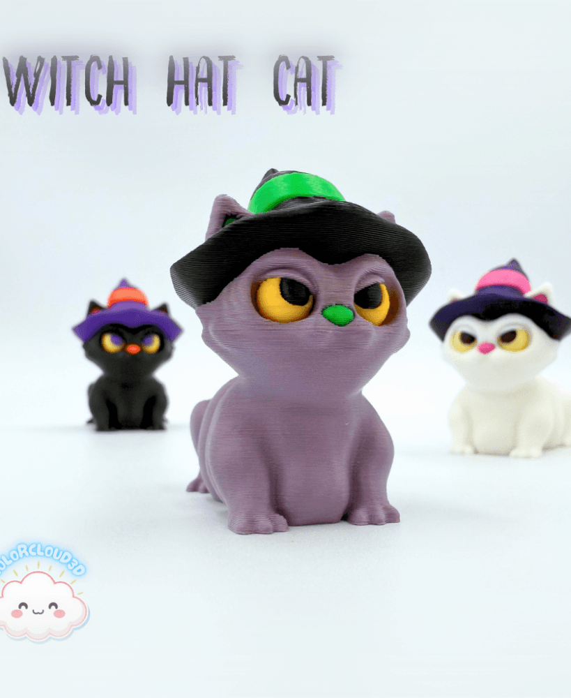 Witch Hat Cat 3d model