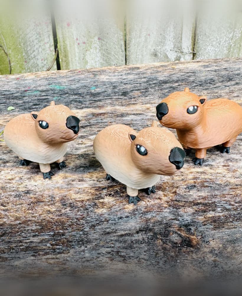 Clicky Capybara 3d model