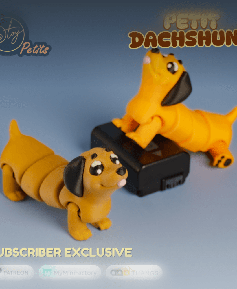 PETIT DACHSHUND 3d model