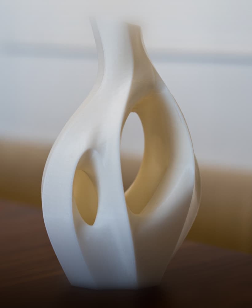 Organic Sculptural Dry Flower Vase 3d model