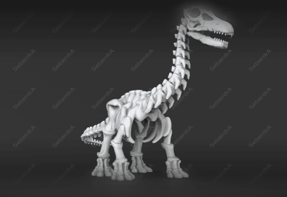 Cute Apatosaurus Skeleton STL 3d model