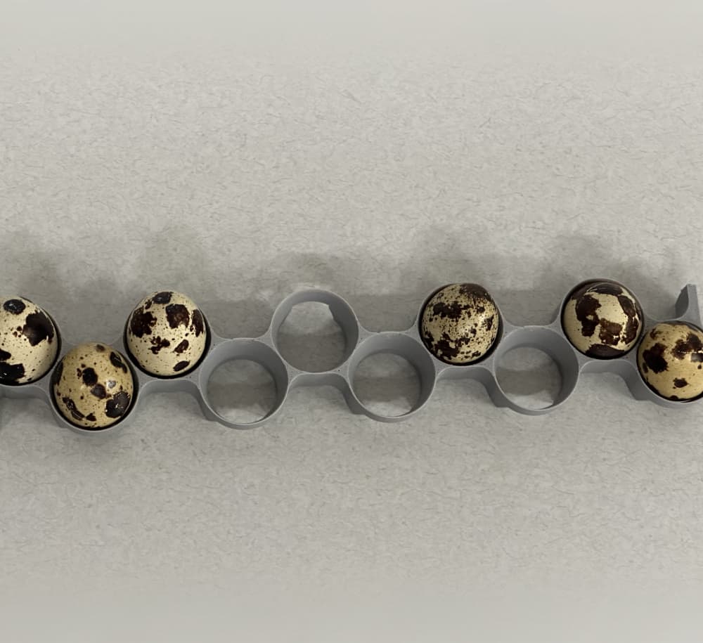 Maticoopx Incubator Jumbo Quail Egg Tray 3d model