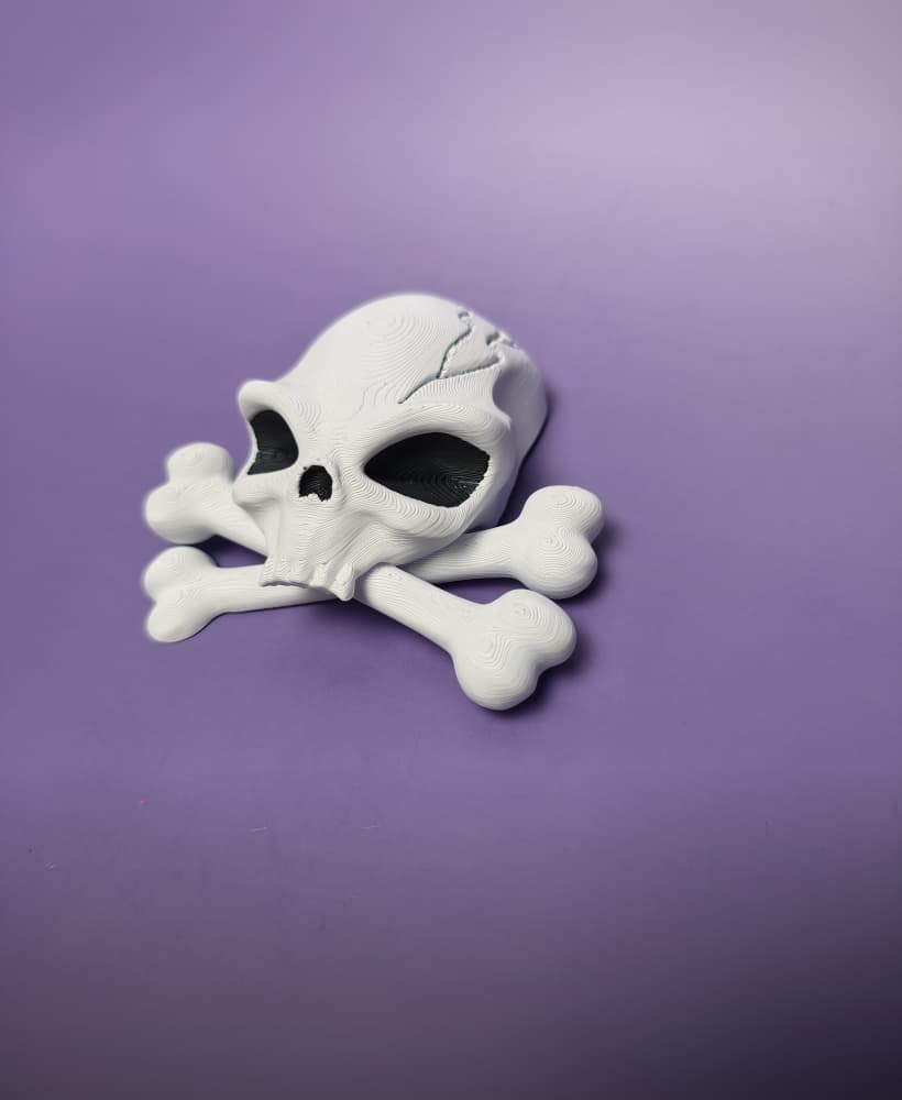 Alien Skull and Crossbones Fridge Magnet 3d model