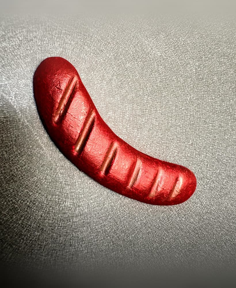 Chorizo fridge magnet 3d model