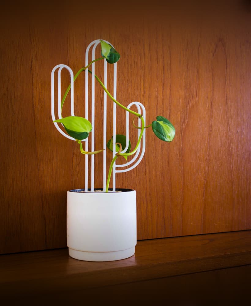 Cactus Planter Trellis 3d model