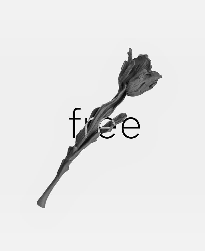 Tulip Free 3D model 3d model