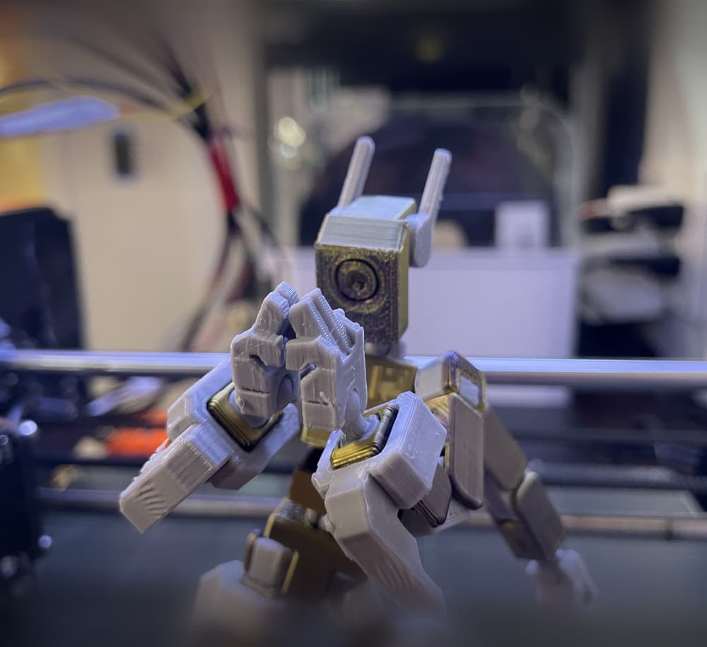 Sukana domain expansion for mini and easy13 3d model