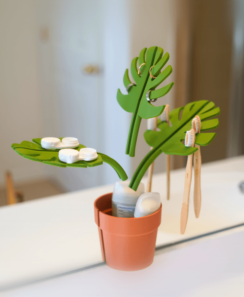 Mirror Monstera 3d model