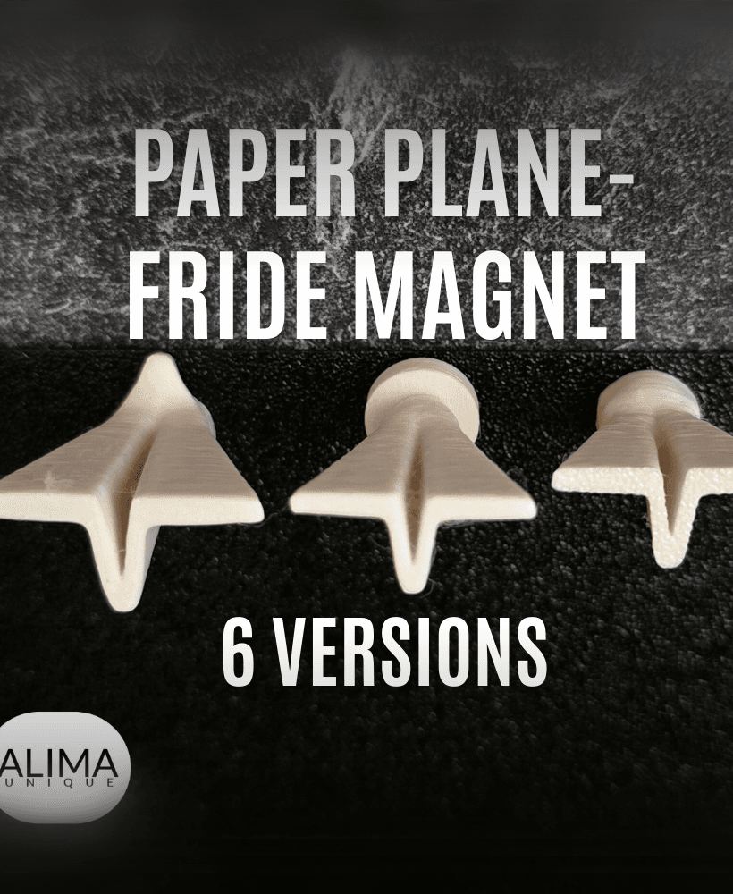 Paper Plane - Fridge Magnet - 6 Versions 3d model