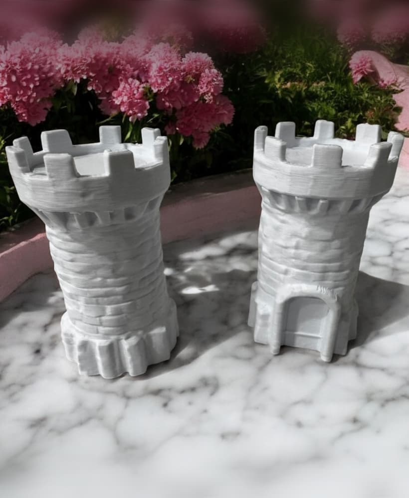 Twin Castles 3d model