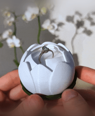 Blooming Flower Ring Box 3d model