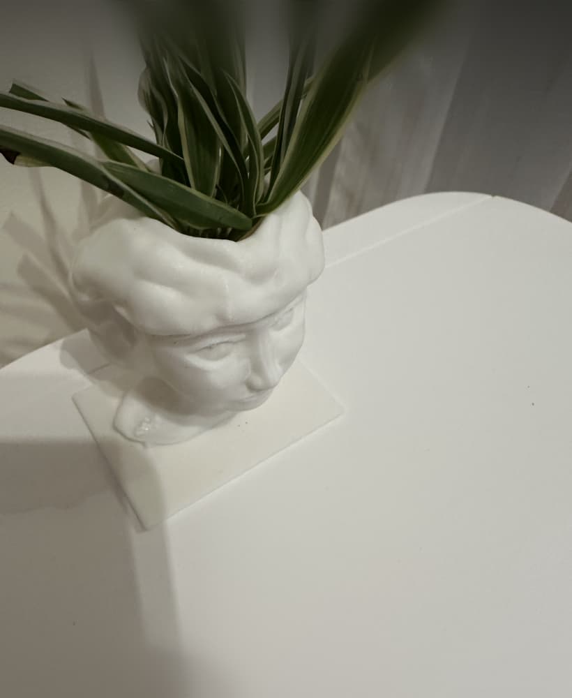 VISO VASO 3d model