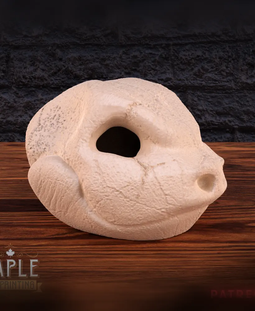 Blastoise Skull - Hollow and Solid - Pokemon 3d model