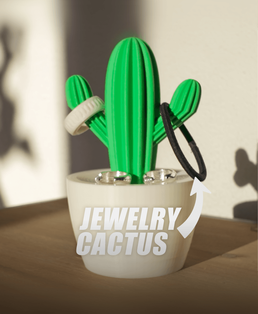Jewelry Cactus - Jewelry Box 3d model