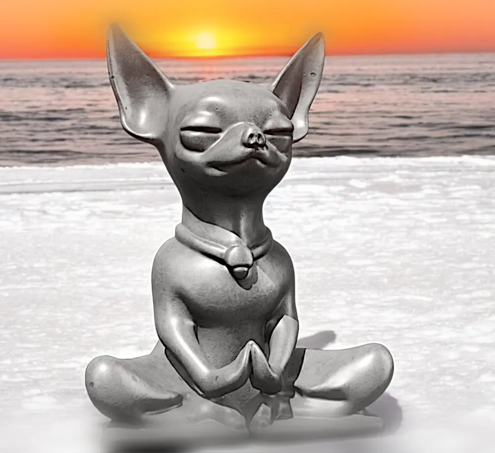 Chihuahua Meditating 3d model