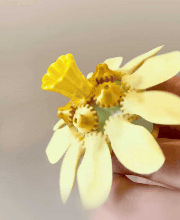 Daffodil Floramorph 3d model