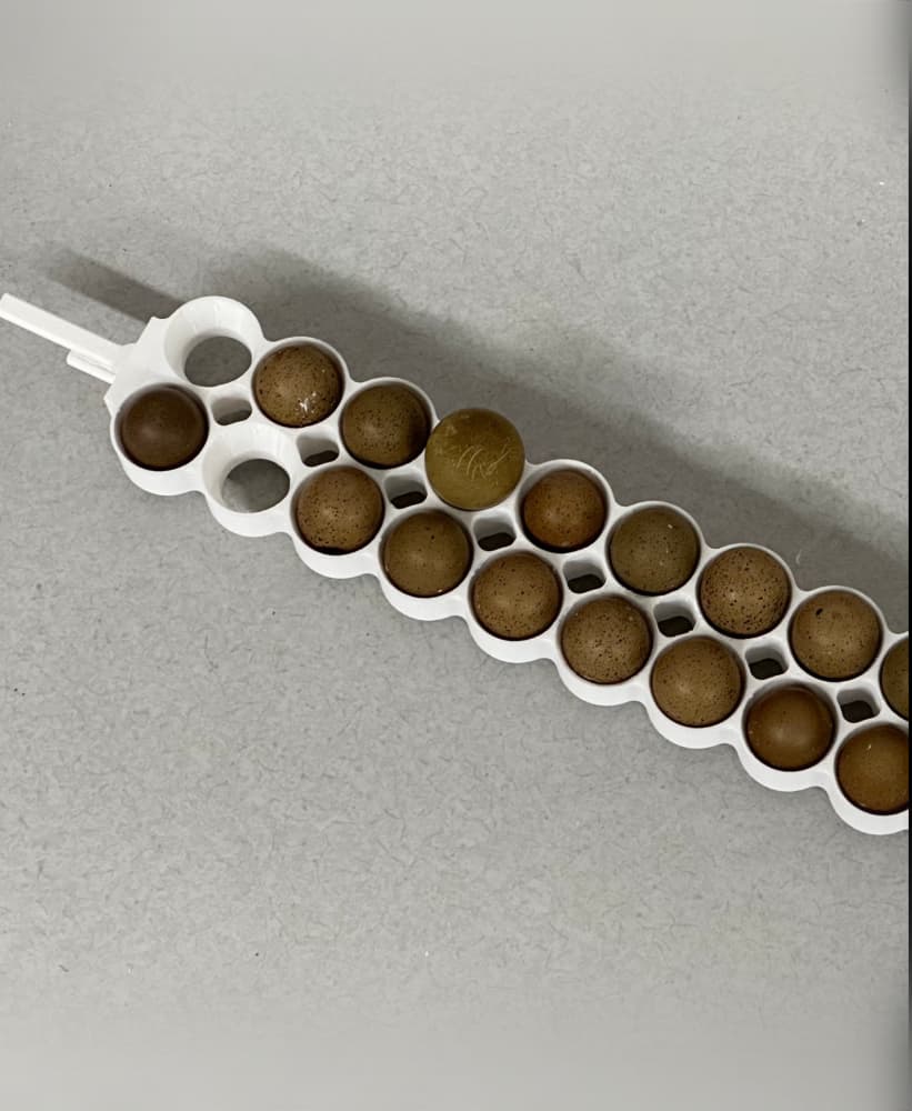 Button Quail Eggs Basket Replacement for Maticoopx 30 or Zohoko 24 Incubators 3d model