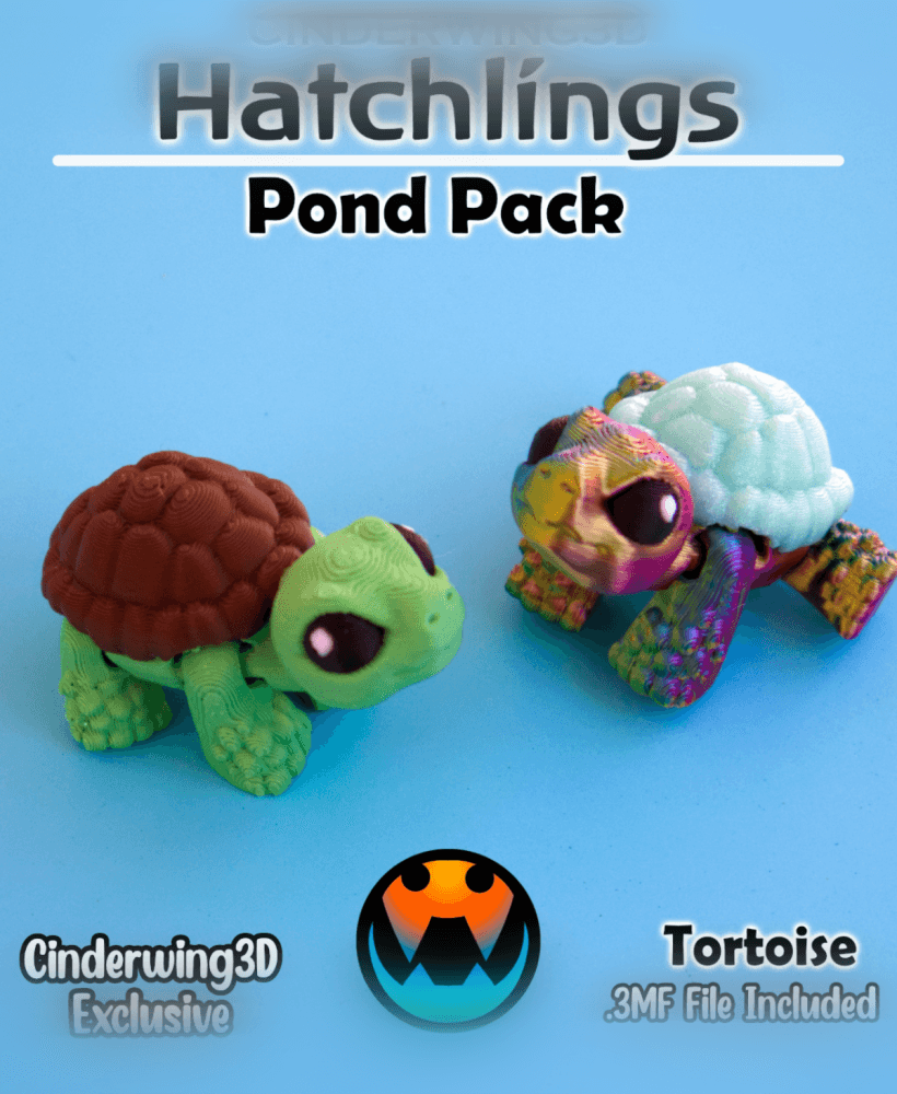 Tortoise - Hatchling 3d model