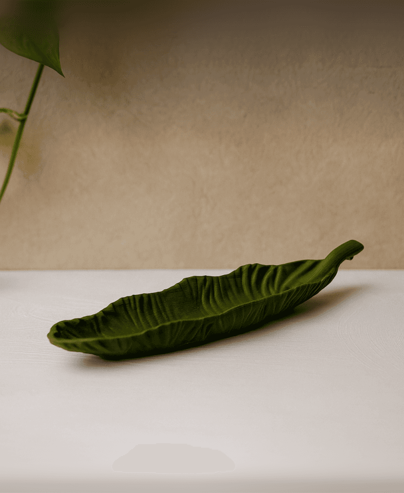 Leafy Tray — Matte Green Decorative Tray 3d model